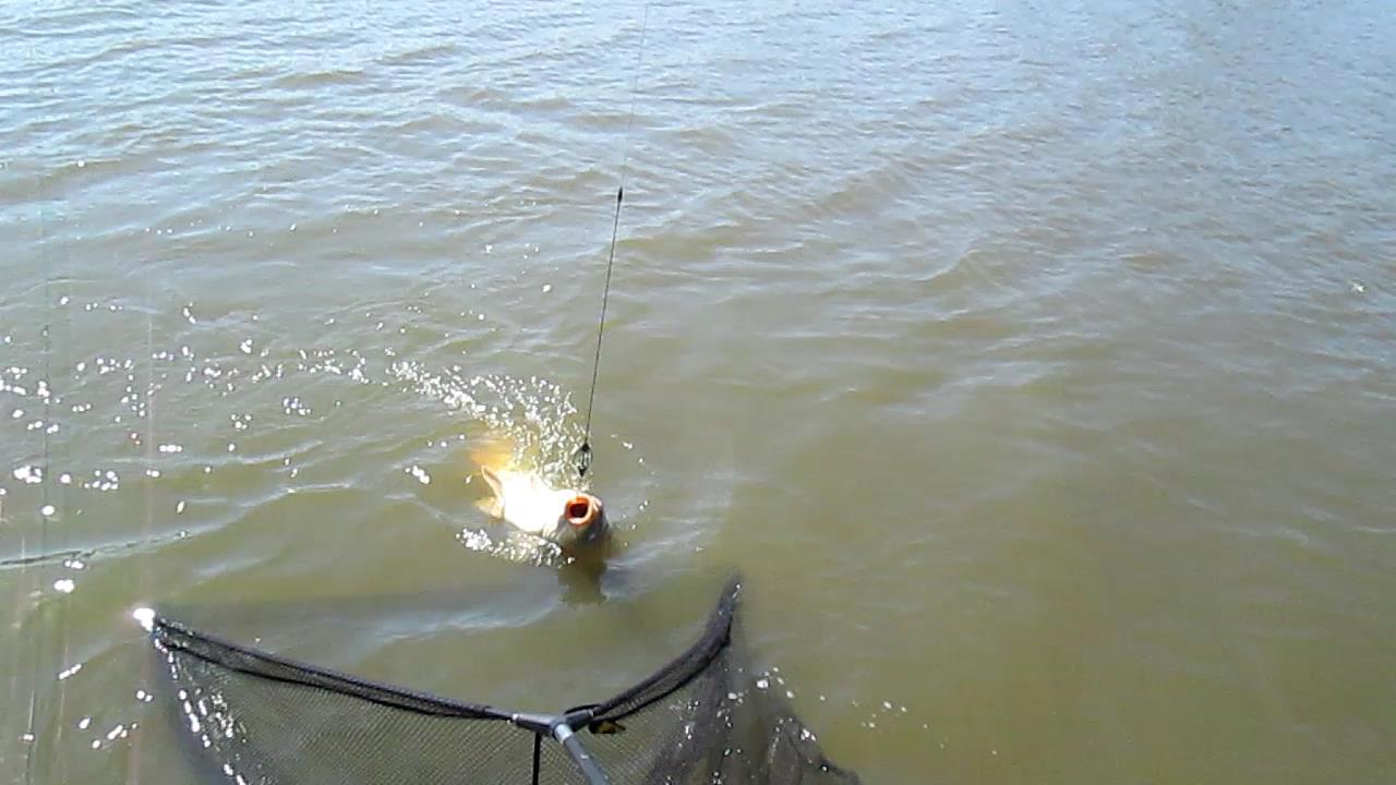 mv2 - mvi245020-47-59.JPG